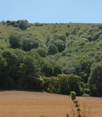 Devils Dyke